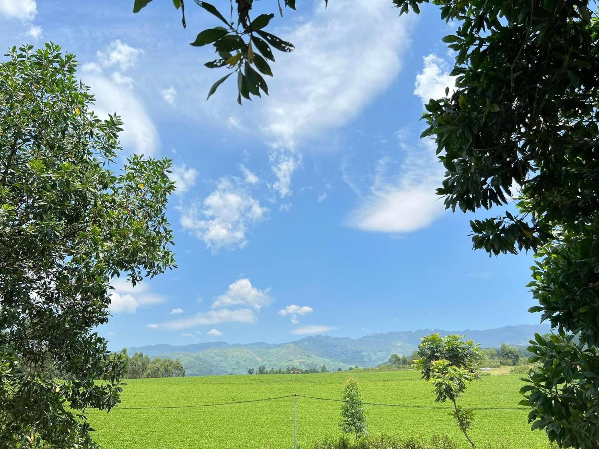 Happy Homestay Nghia Lo المظهر الخارجي الصورة